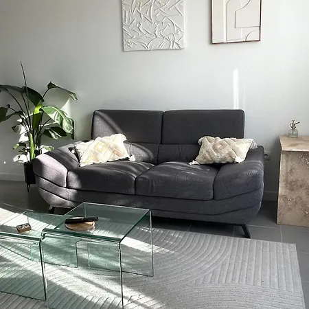 Appartement Luminosa T2 Lumineux Proche Airbus Parking *